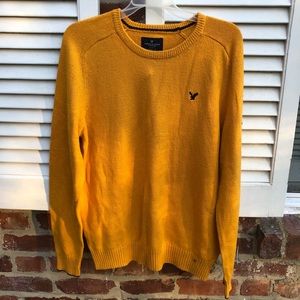 BRAND NEW american eagle sweater